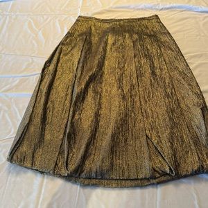 Gorgeous Dries Van Noten Skirt. Size 4.